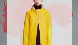 Creative Collaboration – Stutterheim